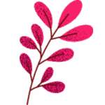 plante a neuf feuilles rose