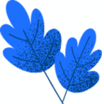 plantes avec deux feuilles bleu