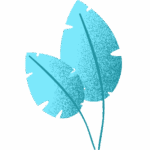 plante avec deux feuilles bleu clair