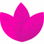 buisson a trois branches rose